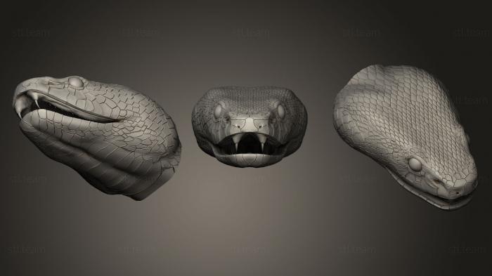3D model Snake Heads (STL)